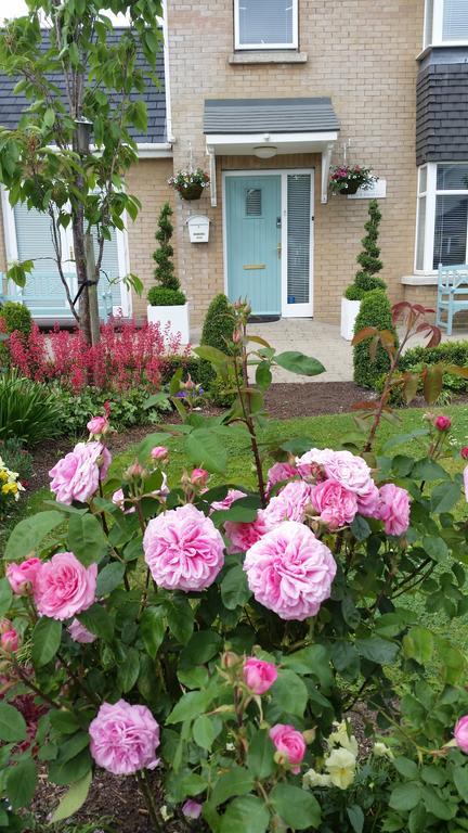 No.5 Bed & Breakfast Kilcullen エクステリア 写真