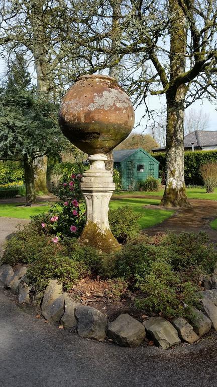No.5 Bed & Breakfast Kilcullen エクステリア 写真