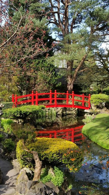 No.5 Bed & Breakfast Kilcullen エクステリア 写真
