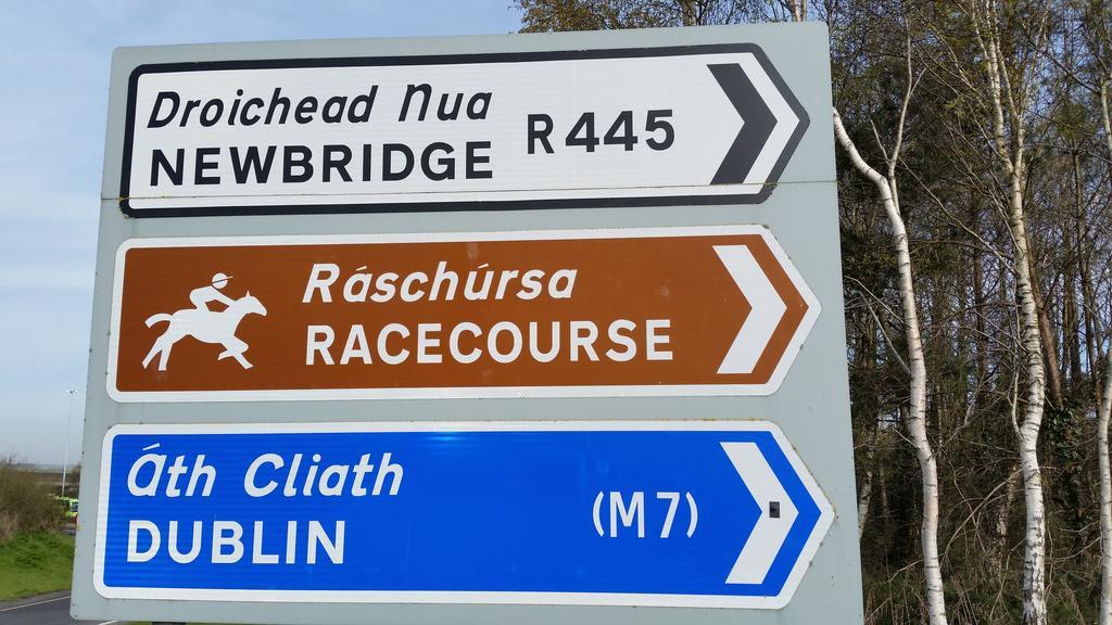 No.5 Bed & Breakfast Kilcullen エクステリア 写真